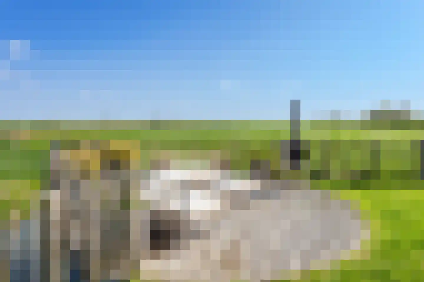 Dorpsweg 129 A hs34 Schellinkhout thumbnail 39