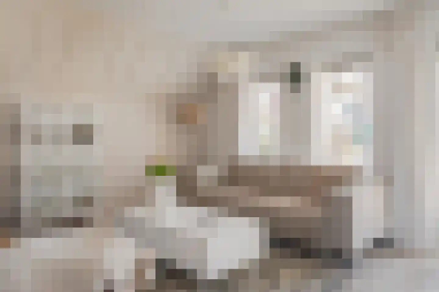 Dorpsweg 129 A hs34 Schellinkhout thumbnail 4