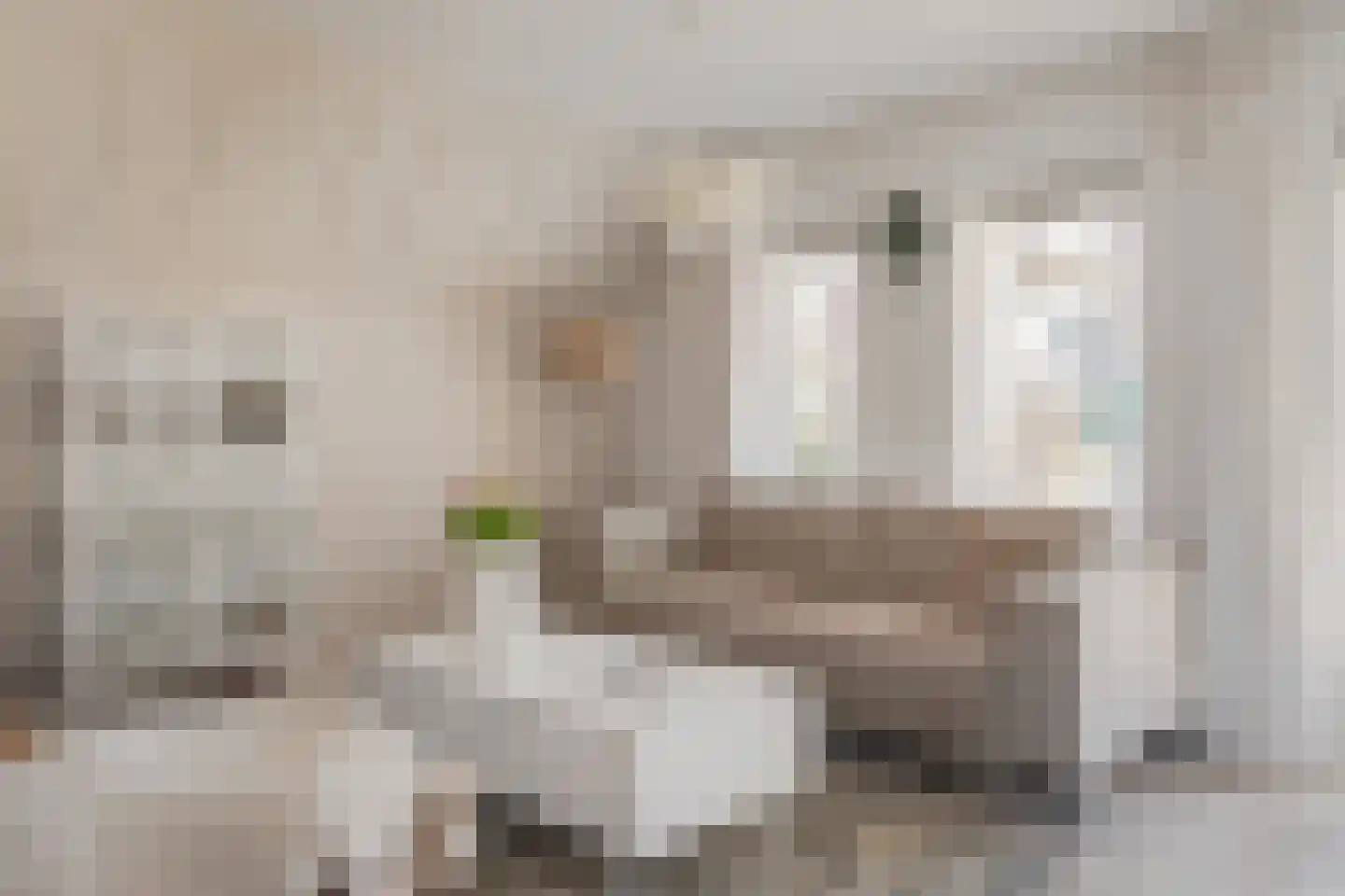 Dorpsweg 129 A hs34 Schellinkhout thumbnail 4