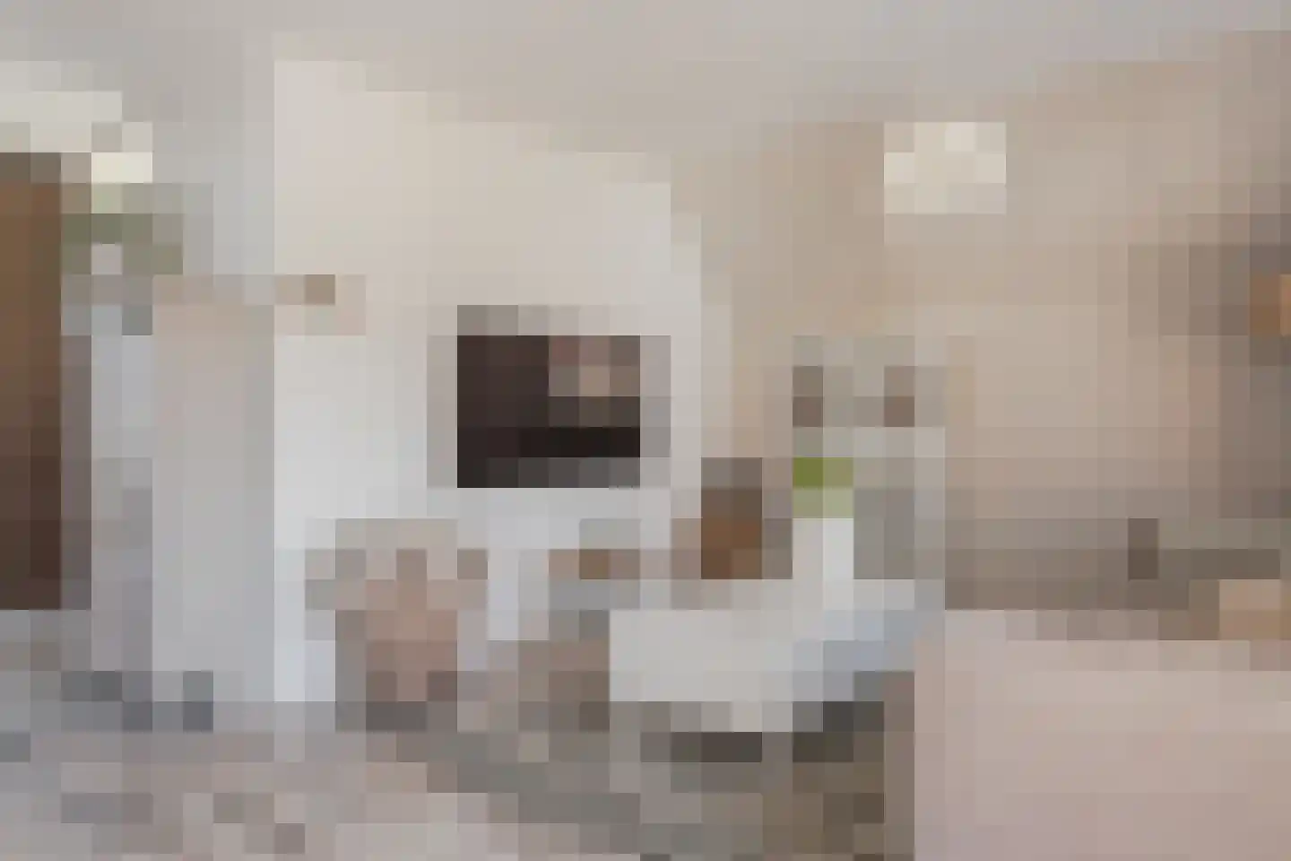 Dorpsweg 129 A hs34 Schellinkhout thumbnail 5
