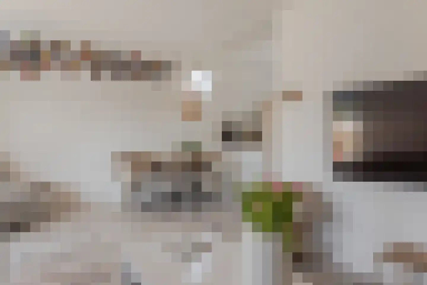 Dorpsweg 129 A hs34 Schellinkhout thumbnail 8