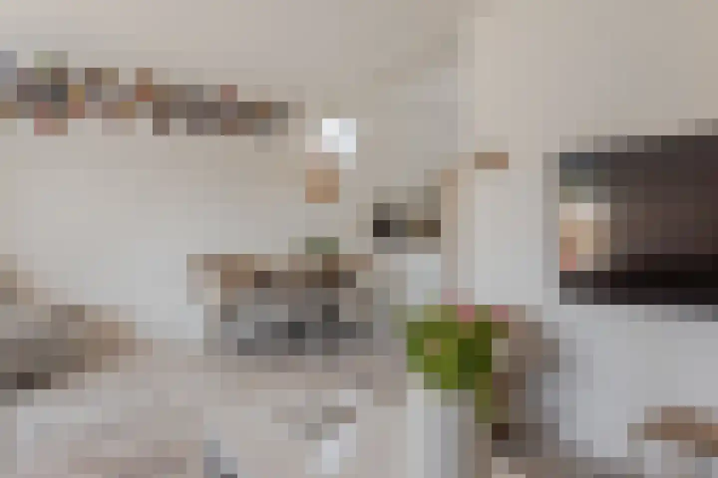 Dorpsweg 129 A hs34 Schellinkhout thumbnail 8