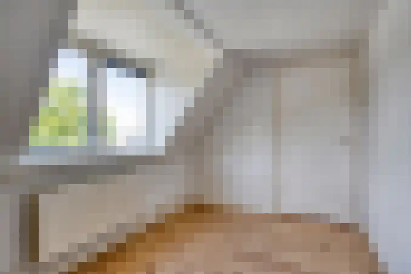 Dorpsweg 134 Hattem thumbnail 18