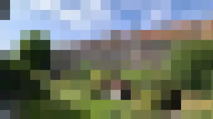 Dorpsweg 137 C Rotterdam thumbnail 10