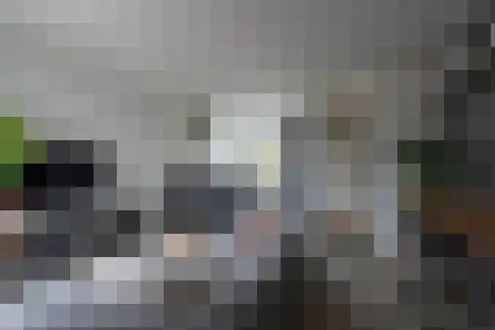 Dorpsweg 137 Hoornaar thumbnail 11