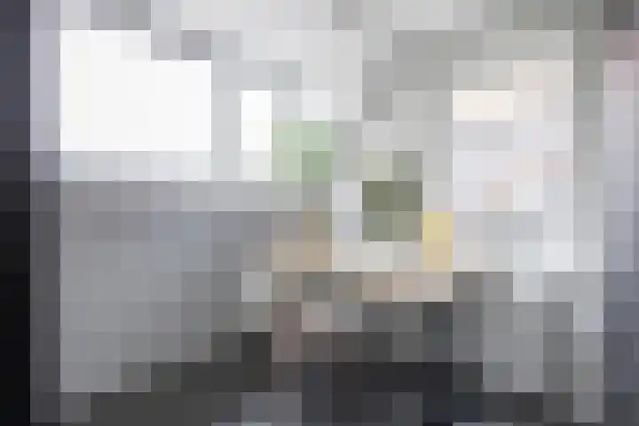 Dorpsweg 137 Hoornaar thumbnail 14