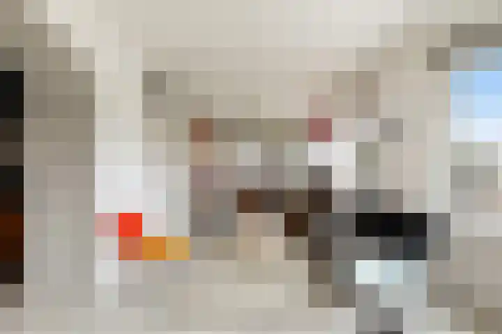 Dorpsweg 14 B Rotterdam thumbnail 11