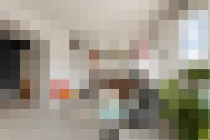 Dorpsweg 14 B Rotterdam thumbnail 17