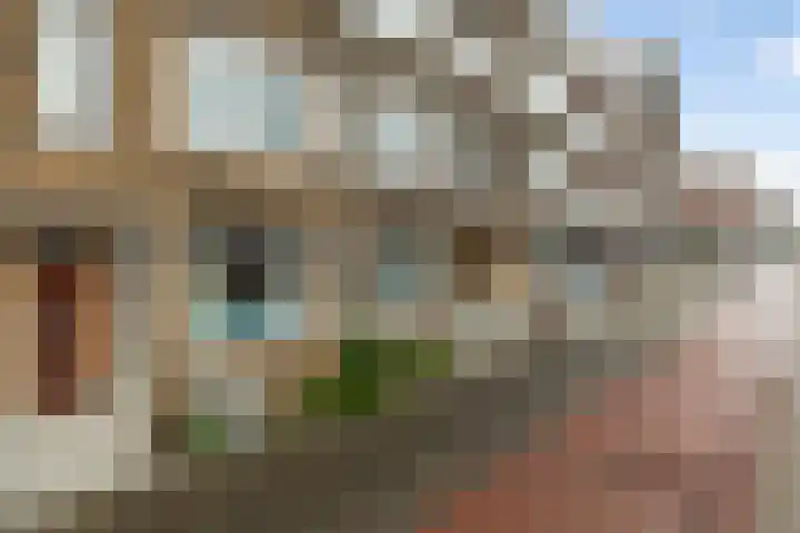 Dorpsweg 14 B Rotterdam thumbnail 18