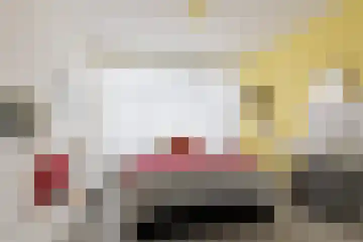 Dorpsweg 14 B Rotterdam thumbnail 20