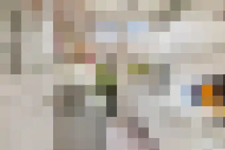 Dorpsweg 14 B Rotterdam thumbnail 25