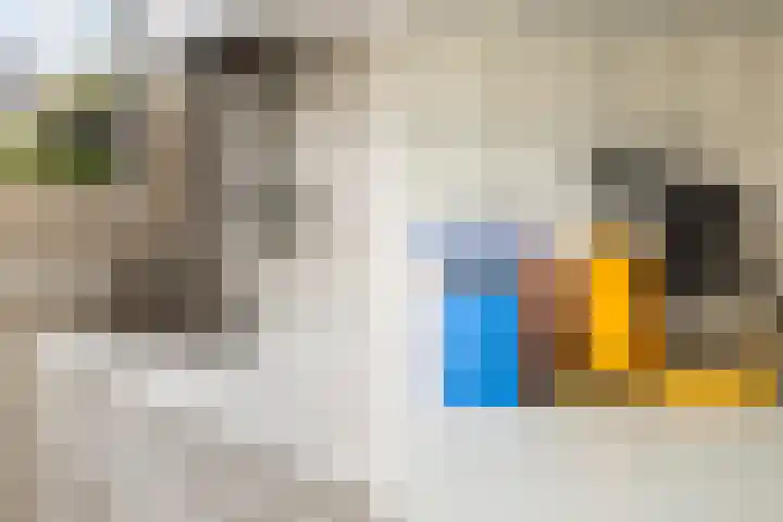 Dorpsweg 14 B Rotterdam thumbnail 28