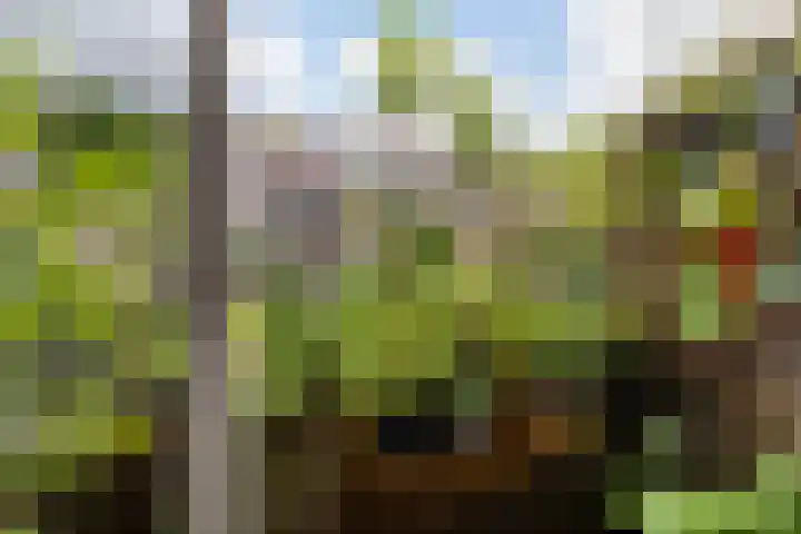 Dorpsweg 14 B Rotterdam thumbnail 4
