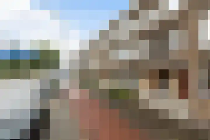 Dorpsweg 14 B Rotterdam thumbnail 5