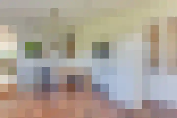 Dorpsweg 14 Hensbroek thumbnail 18