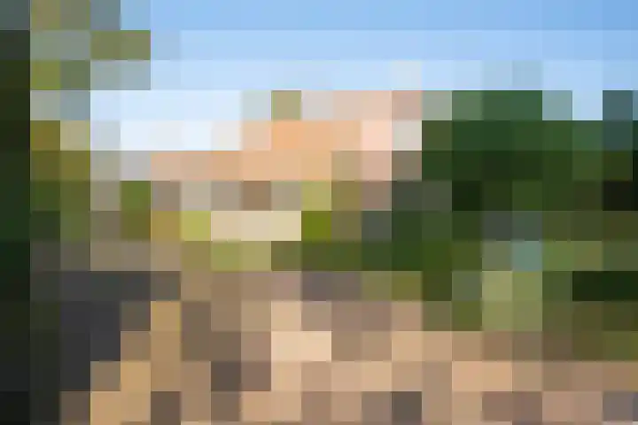 Dorpsweg 14 Hensbroek thumbnail 4