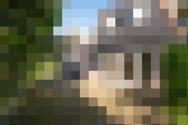 Dorpsweg 14 Hensbroek thumbnail 40