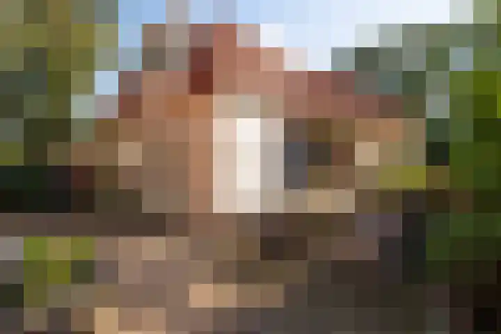 Dorpsweg 14 Hensbroek thumbnail 62