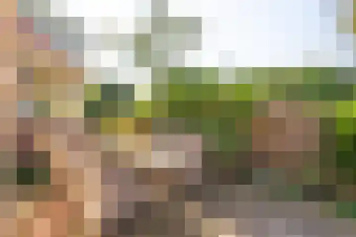 Dorpsweg 14 Hensbroek thumbnail 63