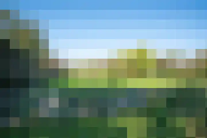 Dorpsweg 14 Hensbroek thumbnail 65