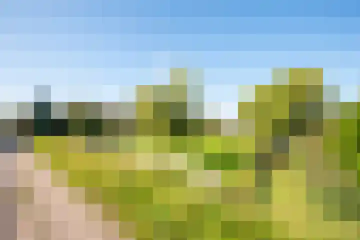 Dorpsweg 14 Hensbroek thumbnail 66