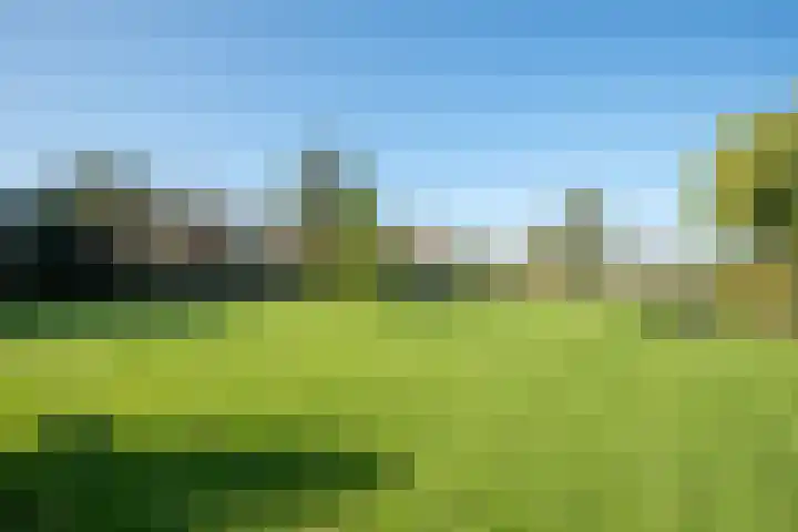 Dorpsweg 14 Hensbroek thumbnail 67