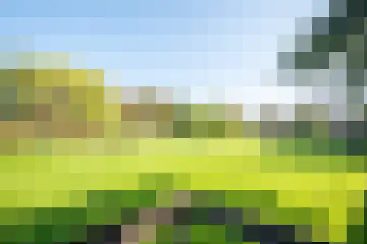Dorpsweg 14 Hensbroek thumbnail 68