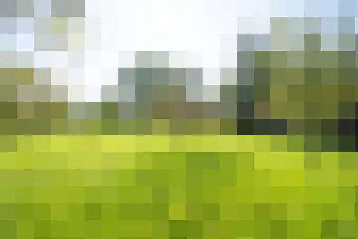 Dorpsweg 14 Hensbroek thumbnail 69