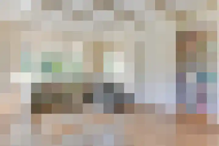 Dorpsweg 14 Hensbroek thumbnail 7