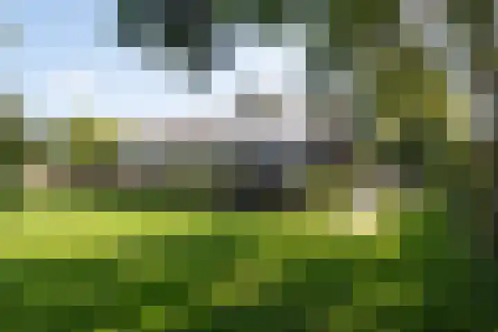 Dorpsweg 14 Hensbroek thumbnail 74