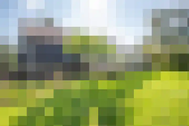 Dorpsweg 14 Hensbroek thumbnail 75