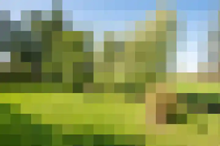 Dorpsweg 14 Hensbroek thumbnail 76