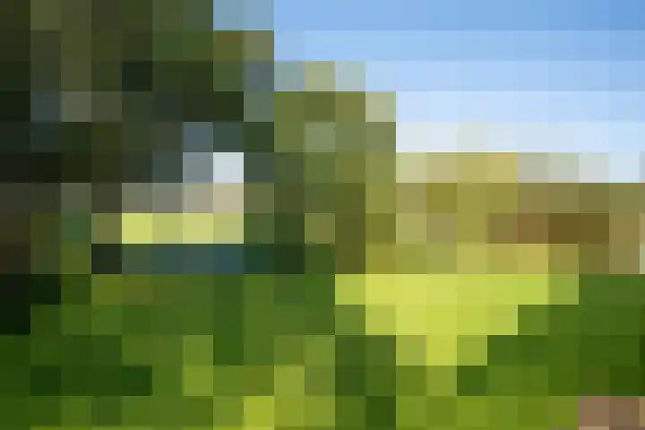 Dorpsweg 14 Hensbroek thumbnail 77