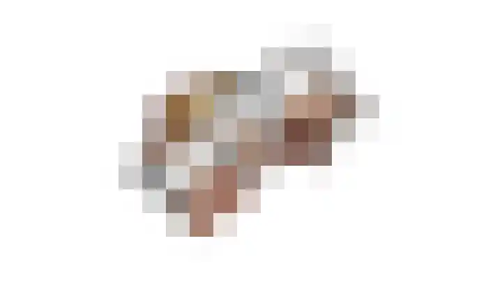 Dorpsweg 14 Hensbroek thumbnail 93