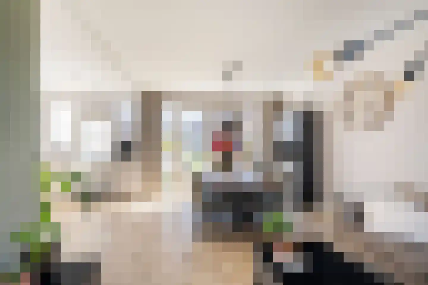 Dorpsweg 14 Oud-Vossemeer thumbnail 15