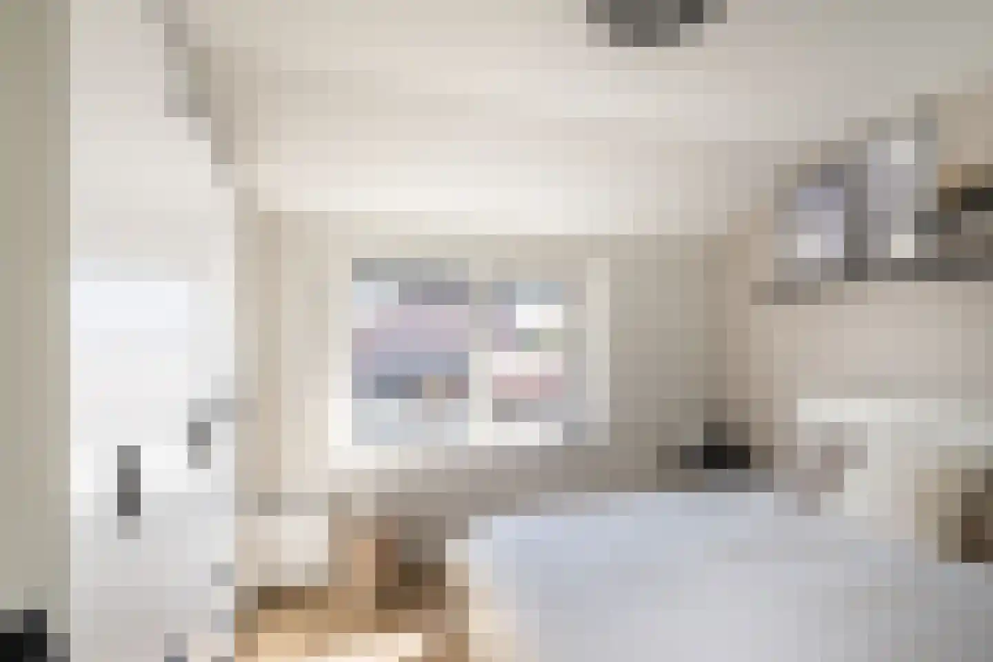 Dorpsweg 14 Oud-Vossemeer thumbnail 18