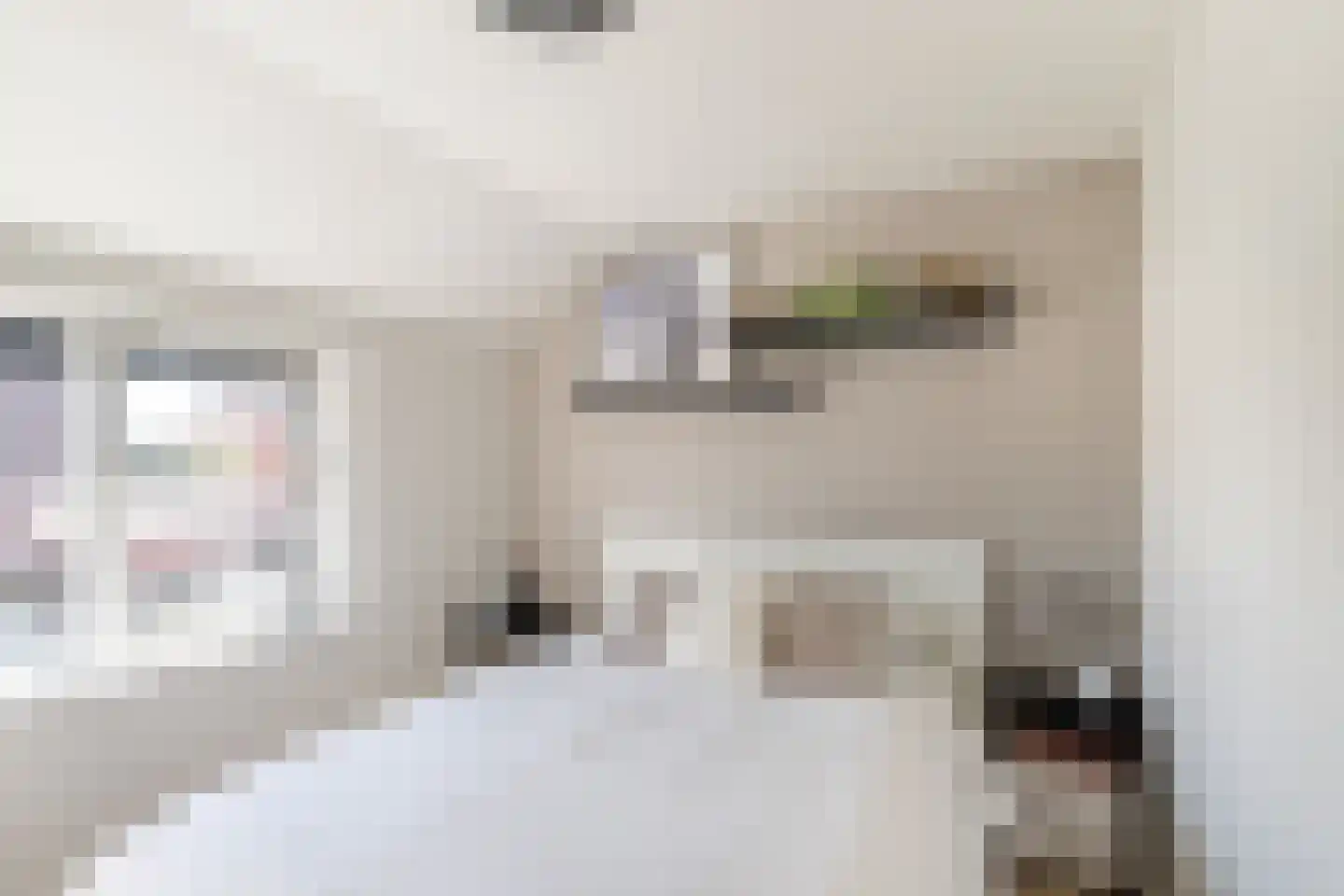 Dorpsweg 14 Oud-Vossemeer thumbnail 19
