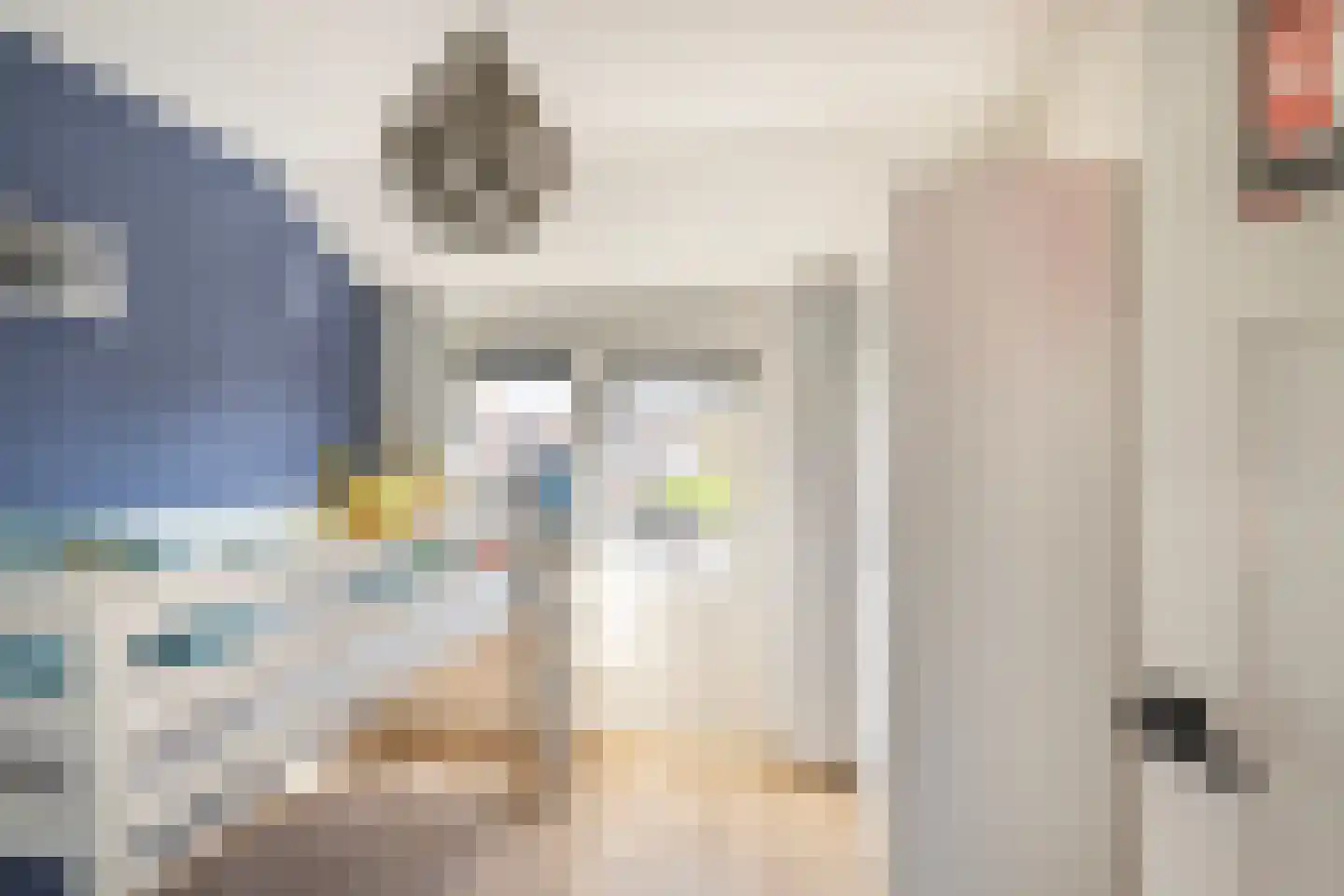 Dorpsweg 14 Oud-Vossemeer thumbnail 25