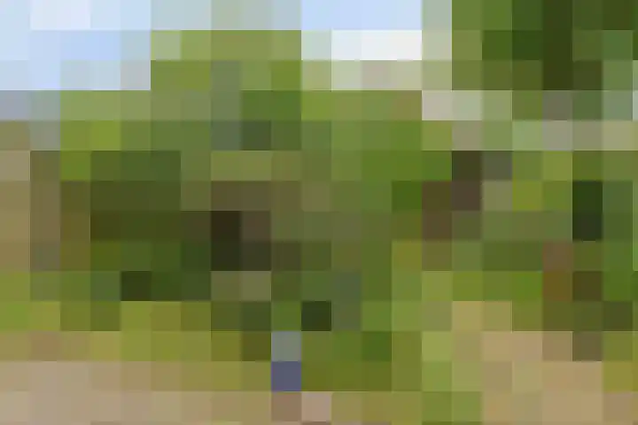 Dorpsweg 14 Oudenhoorn thumbnail 10