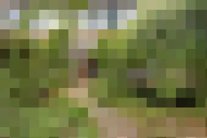 Dorpsweg 14 Oudenhoorn thumbnail 12