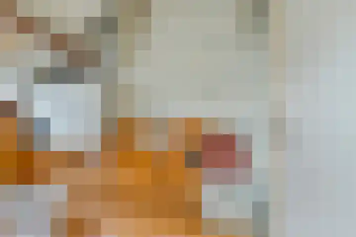Dorpsweg 14 Oudenhoorn thumbnail 22