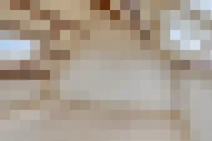 Dorpsweg 14 Oudenhoorn thumbnail 23