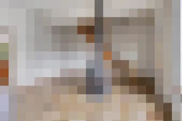 Dorpsweg 14 Oudenhoorn thumbnail 4