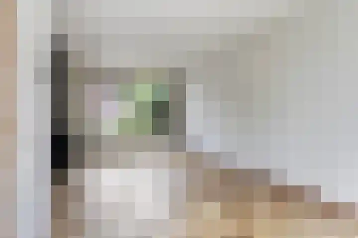 Dorpsweg 14 Oudenhoorn thumbnail 6