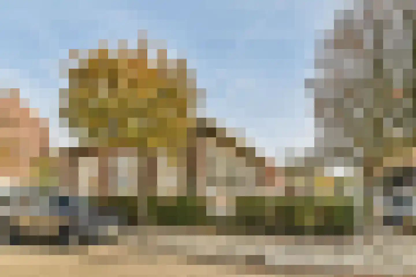Dorpsweg 144 B Rotterdam thumbnail 25
