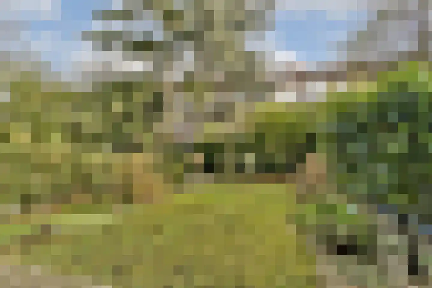 Dorpsweg 144 B Rotterdam thumbnail 29
