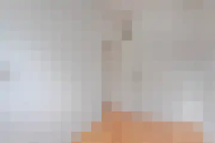 Dorpsweg 144 C Rotterdam thumbnail 19