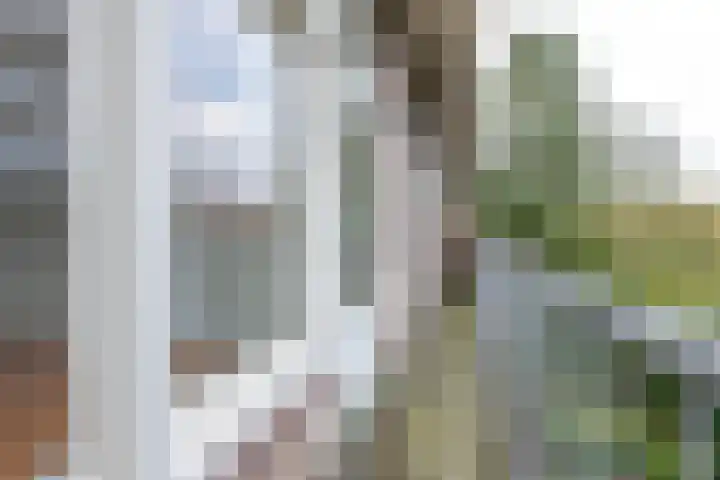 Dorpsweg 144 C Rotterdam thumbnail 20