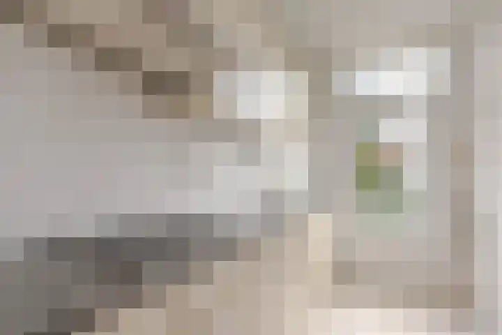 Dorpsweg 144 C Rotterdam thumbnail 4
