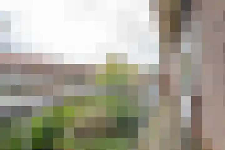 Dorpsweg 144 C Rotterdam thumbnail 6